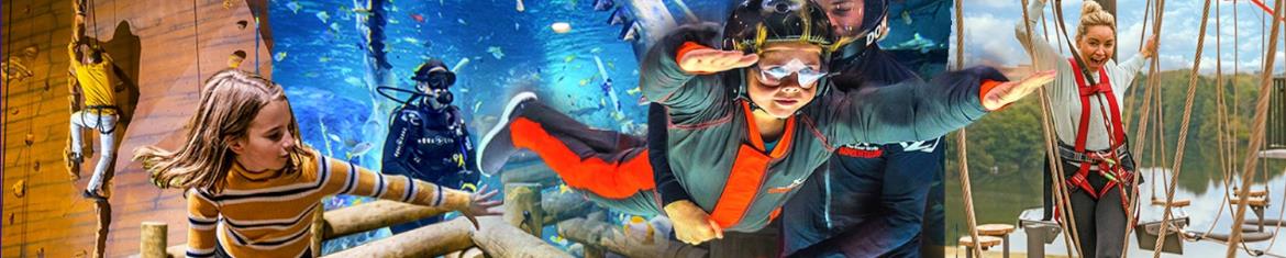 The Bear Grylls Adventure